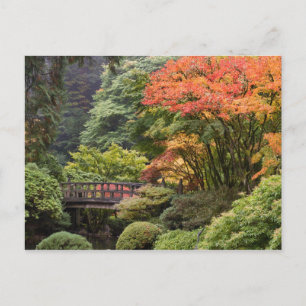 Japanese Garden in Autumn Postcard