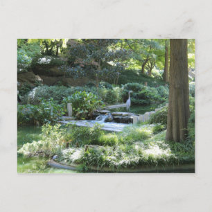 Japanese Garden in Fort Worth Texas # 44 Postcard