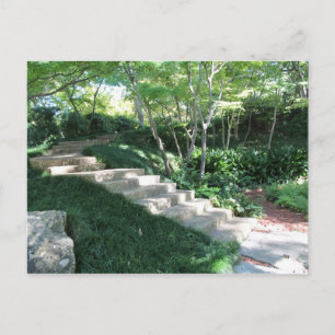 Japanese Garden in Fort Worth Texas # 47 Postcard