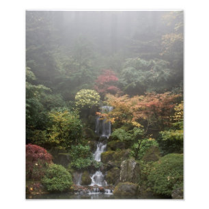 Japanese Garden Photo Enlargement