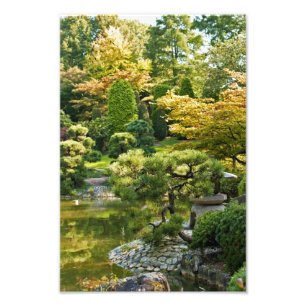 Japanese Garden Photo Print