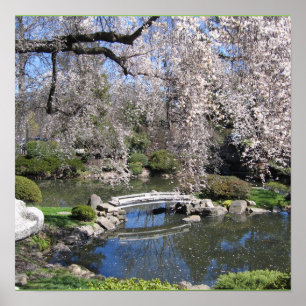 Japanese garden photography poster