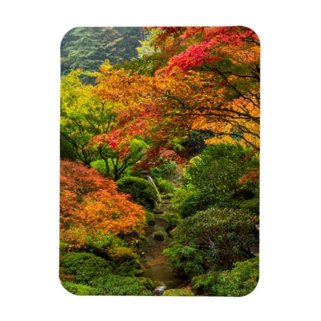 Japanese Gardens In Autumn In Portland, Oregon 2 Magnet (Vertical)