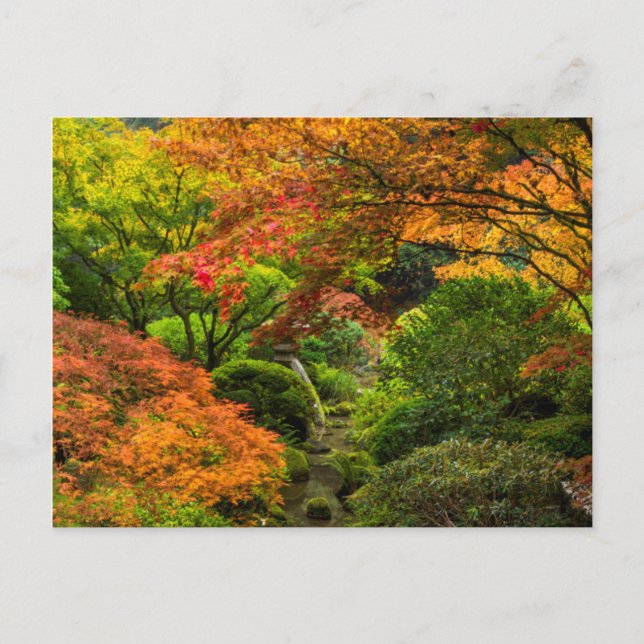 Japanese Gardens In Autumn In Portland, Oregon 2 Postcard (Front)