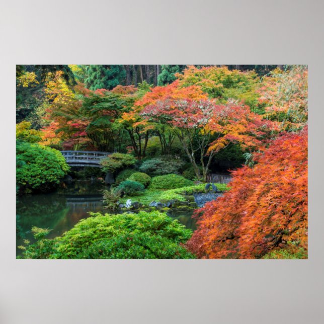 Japanese Gardens In Autumn In Portland, Oregon 3 Poster (Front)