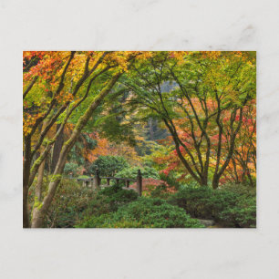 Japanese Gardens In Autumn In Portland, Oregon 4 Postcard