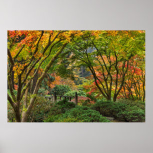 Japanese Gardens In Autumn In Portland, Oregon 4 Poster