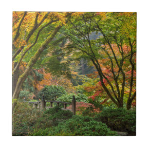 Japanese Gardens In Autumn In Portland, Oregon 4 Tile