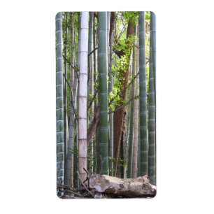 Japanese Giant Bamboo Forest, Sagano, Kyoto, Japan