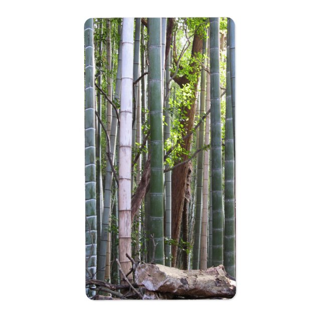 Japanese Giant Bamboo Forest, Sagano, Kyoto, Japan (Front)