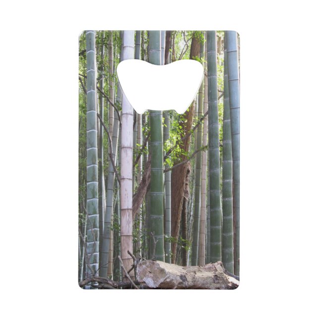 Japanese Giant Bamboo Forest, Sagano, Kyoto, Japan (Front)