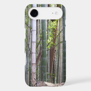 Japanese Giant Bamboo Forest, Sagano, Kyoto, Japan