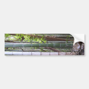 Japanese Giant Bamboo Forest, Sagano, Kyoto, Japan Bumper Sticker