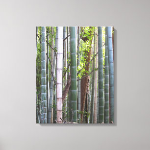 Japanese Giant Bamboo Forest, Sagano, Kyoto, Japan Canvas Print