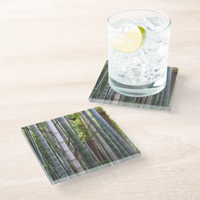 Japanese Giant Bamboo Forest, Sagano, Kyoto, Japan Glass Coaster (Angled)