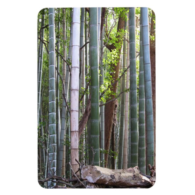 Japanese Giant Bamboo Forest, Sagano, Kyoto, Japan Magnet (Vertical)