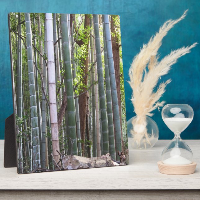 Japanese Giant Bamboo Forest, Sagano, Kyoto, Japan Plaque (Side)