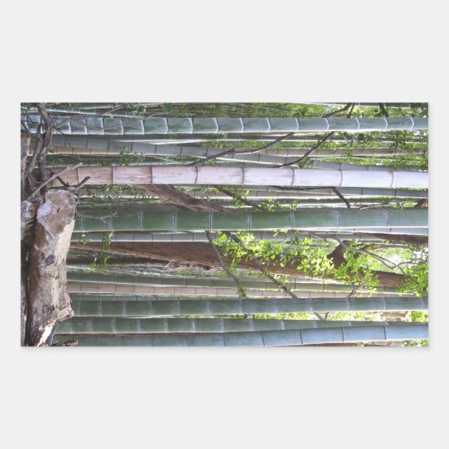 Japanese Giant Bamboo Forest, Sagano, Kyoto, Japan Rectangular Sticker (Front)