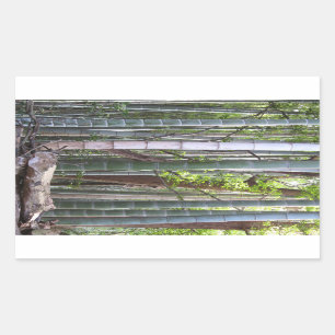 Japanese Giant Bamboo Forest, Sagano, Kyoto, Japan Rectangular Sticker