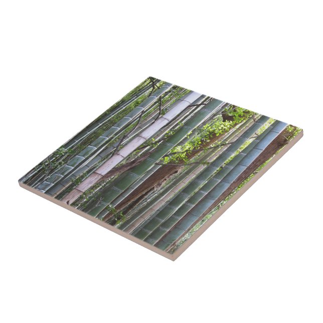 Japanese Giant Bamboo Forest, Sagano, Kyoto, Japan Tile (Side)
