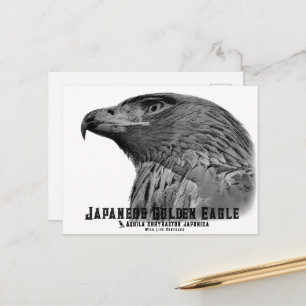 Japanese Golden Eagle Postcard