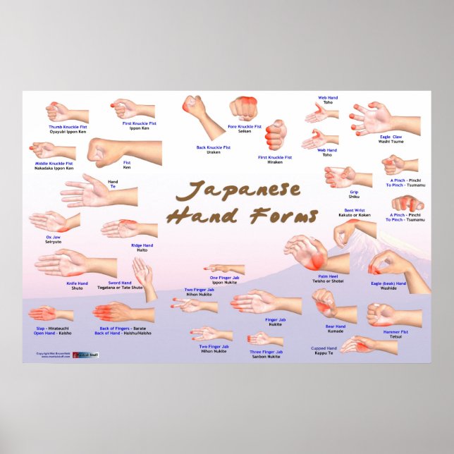 Japanese Hand Forms Poster (Front)