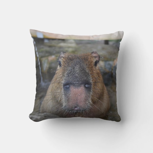 Japanese Hot Spring Capybara Cushion (Front)