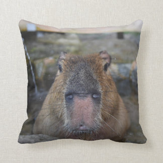 Japanese Hot Spring Capybara Cushion