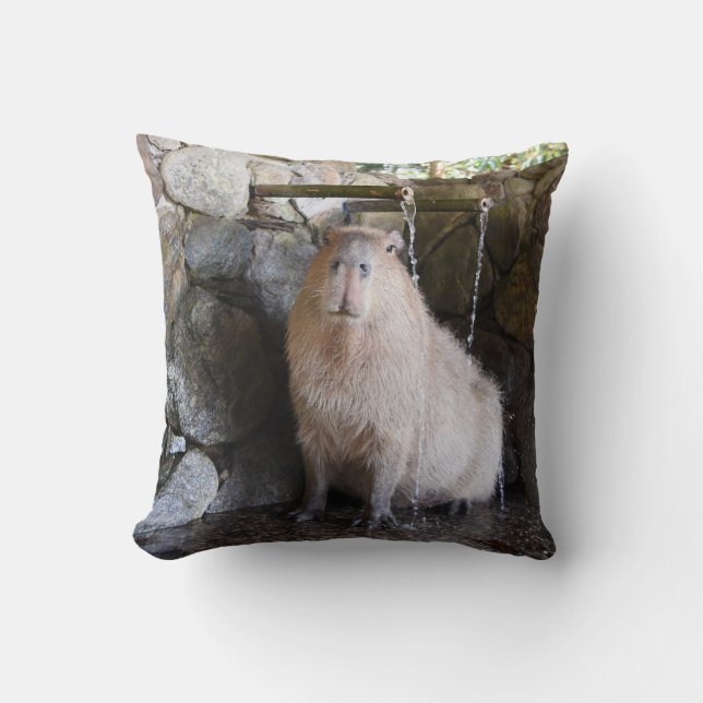 Japanese Hot Spring Capybara Cushion (Front)