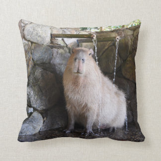 Japanese Hot Spring Capybara Cushion