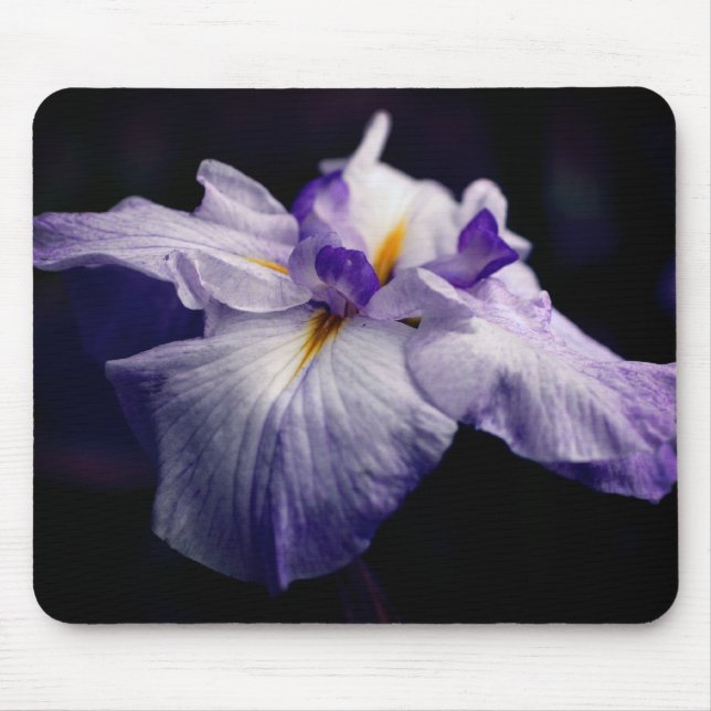 Japanese Iris Beauty Flower Mouse Mat (Front)
