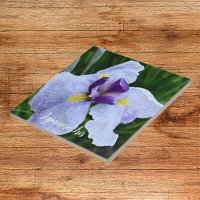 Japanese Iris Bloom Floral
