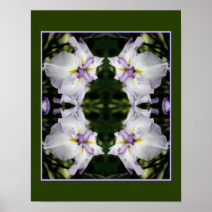 Japanese Iris Flower In Bloom Abstract Poster