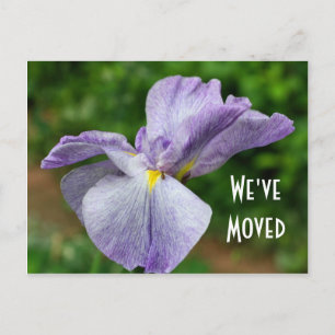 Japanese Iris New Address Floral Postcard