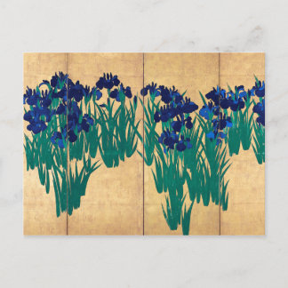 Japanese Irises, Ogata Kōrin Postcard