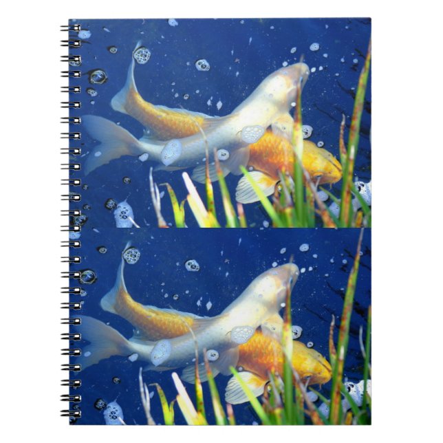 japanese koi carp notebook (Front)