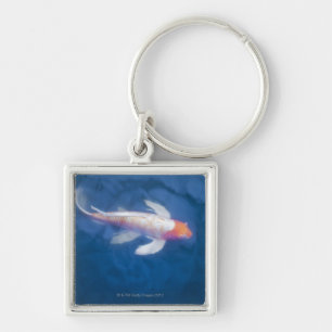 Japanese koi fish in pond, high angle view key ring
