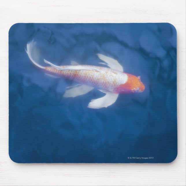 Japanese koi fish in pond, high angle view mouse mat (Front)