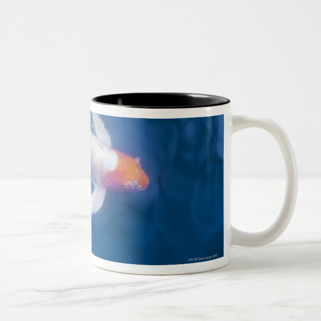 Japanese koi fish in pond, high angle view Two-Tone coffee mug (Right)