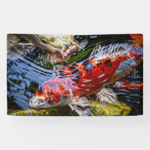 Japanese Koi Fish Pond Banner