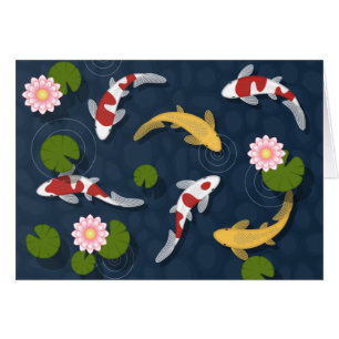 Japanese Koi Fish Pond Blank
