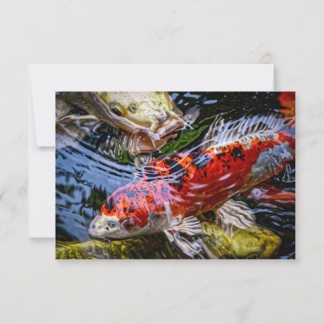 Japanese Koi Fish Pond Thank You Card (Front)