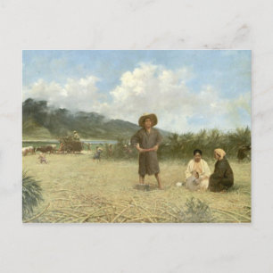 'Japanese Laborers, Maui' - Postcard