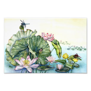Japanese Lotus Lilies Art Photo Print