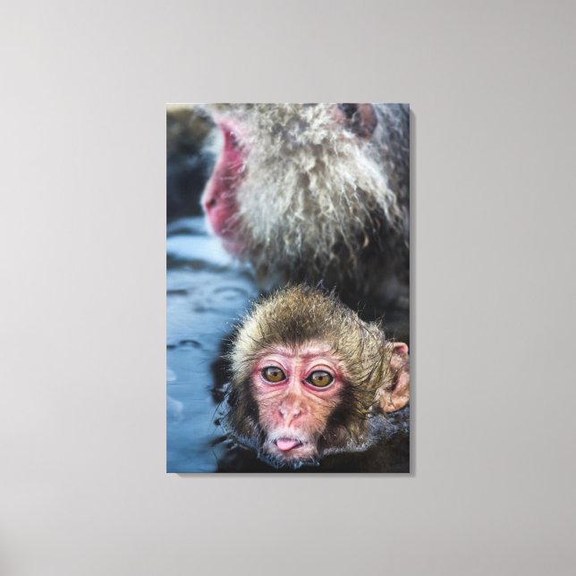 Japanese Macaque Baby Canvas Print (Front)
