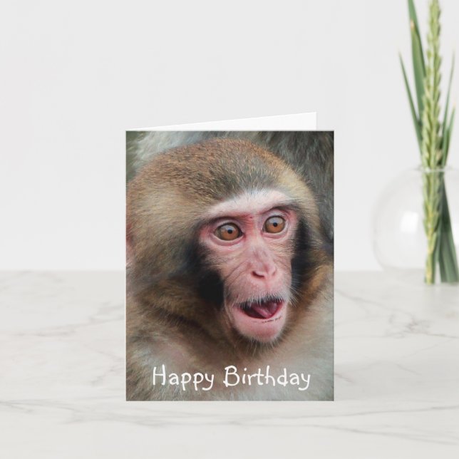 Japanese Macaque Monkey Birthday Card (Front)
