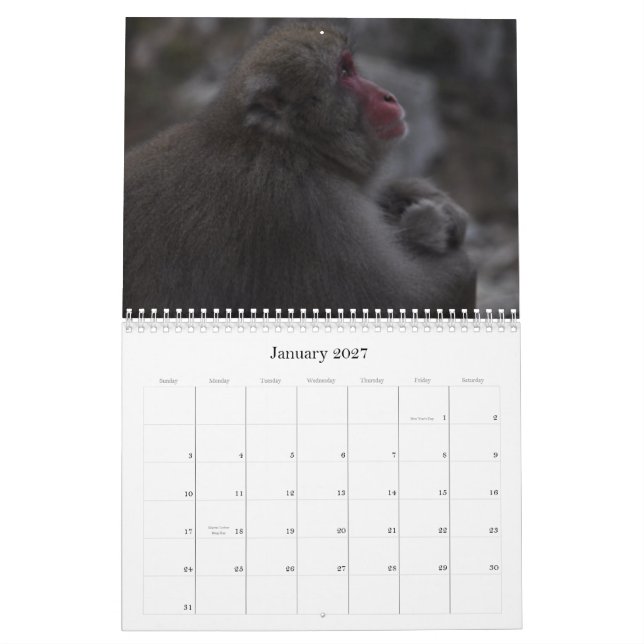 Japanese Macaques Calendar (Jan 2027)