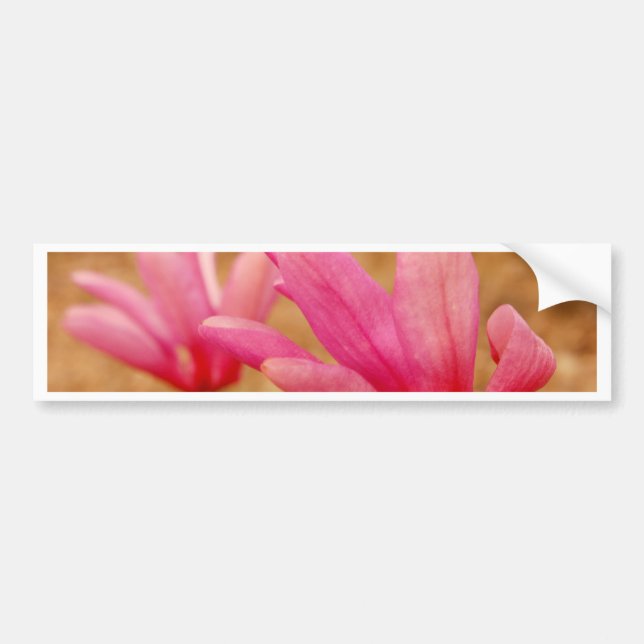 Japanese Magnolia Bumper Sticker (Front)