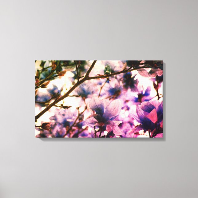 Japanese Magnolia Canvas Print (Front)