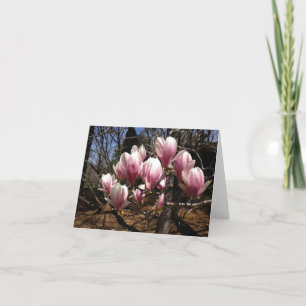 Japanese Magnolia Note Card